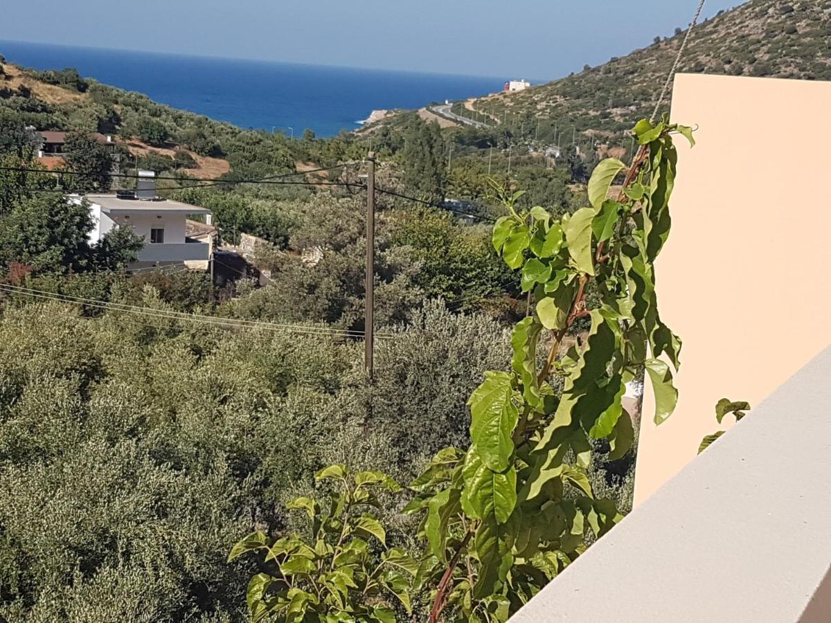 Sea Flower Villa Bali Crete Vlikhádha Dış mekan fotoğraf