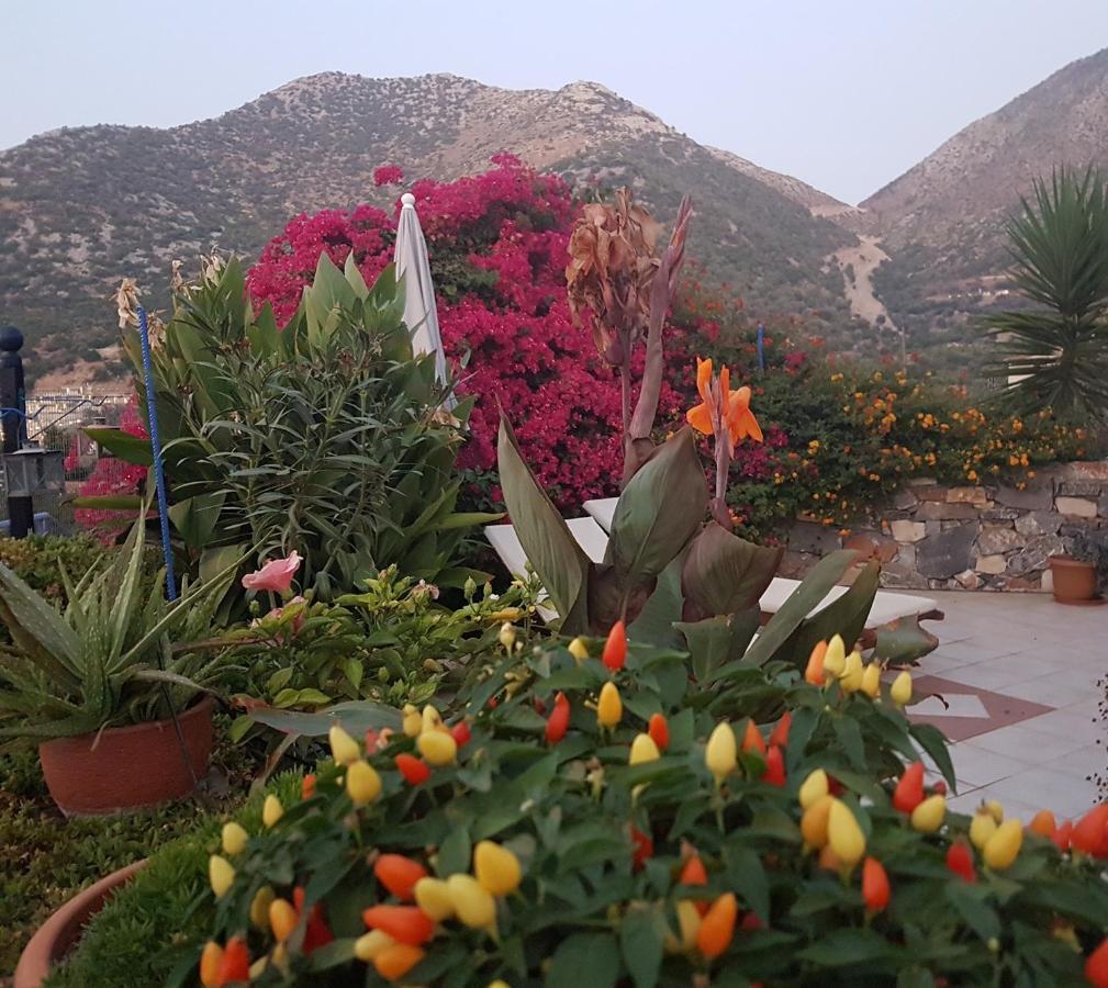 Sea Flower Villa Bali Crete Vlikhádha Dış mekan fotoğraf