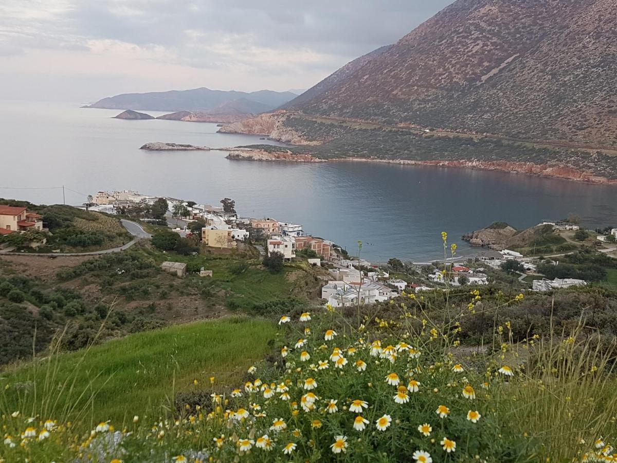 Sea Flower Villa Bali Crete Vlikhádha Dış mekan fotoğraf