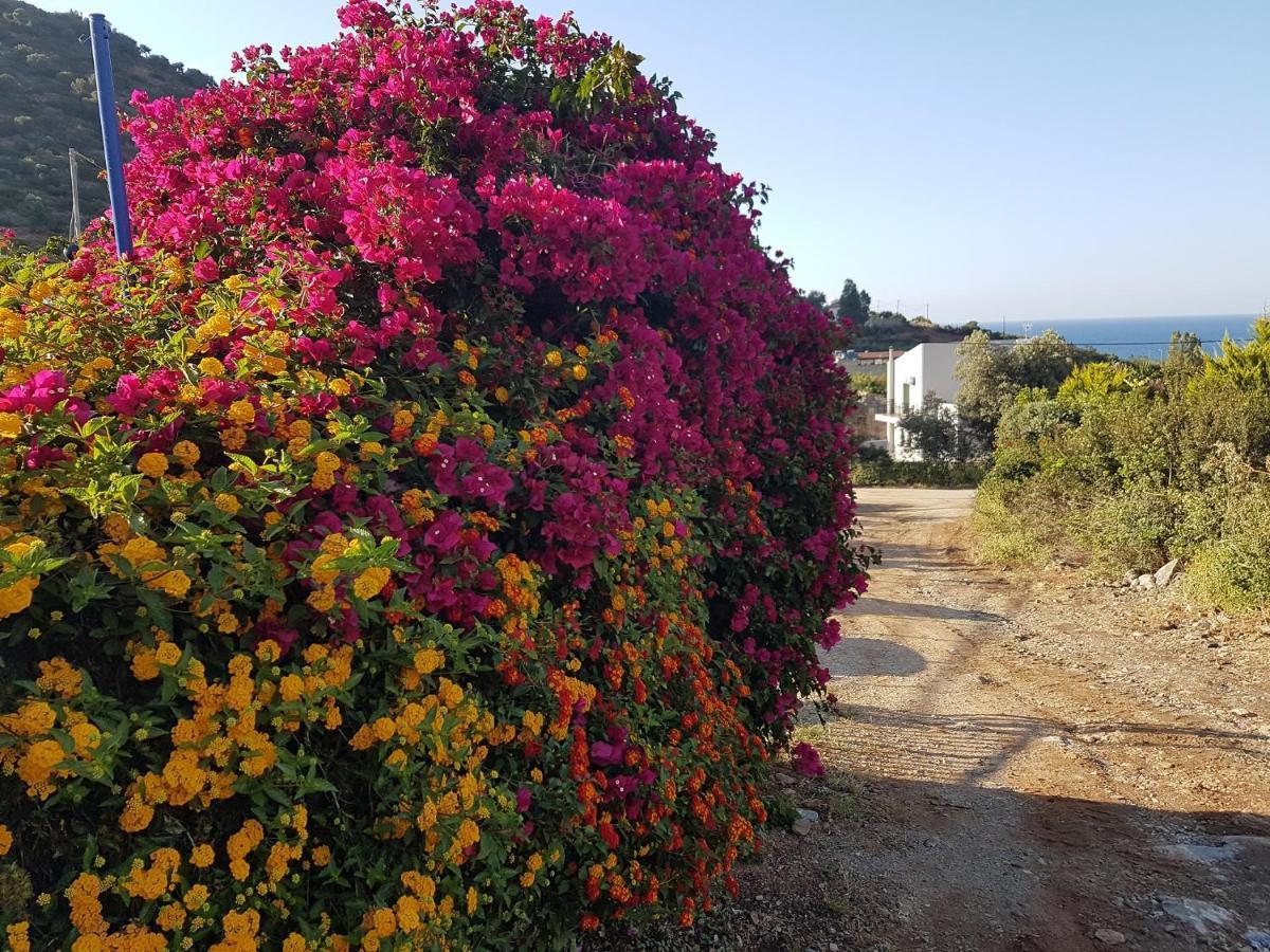 Sea Flower Villa Bali Crete Vlikhádha Dış mekan fotoğraf